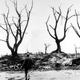 Illustration for article titled Hiroshima publication, 70 years